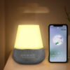 Bluetooth Speaker with Lights and Phone